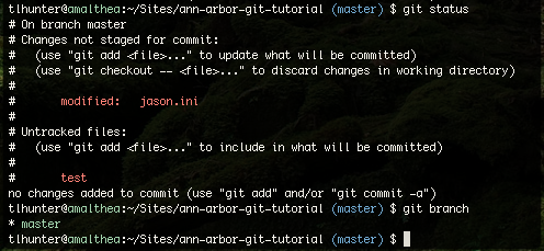 git colored output