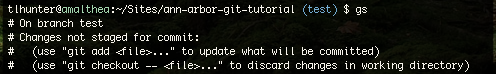 notice how the gs command is the same as git status